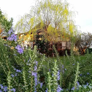 https://podere-piandarca.it-tuscanyhotel.com